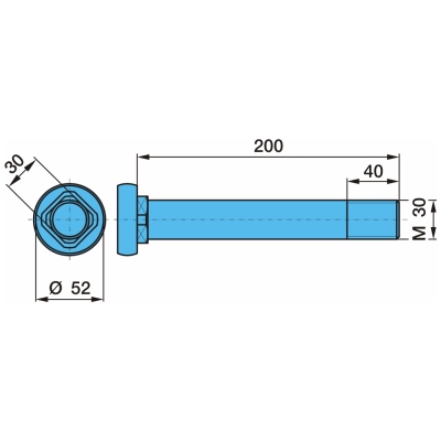 Perno di balestra M30 x 200 / 40_1