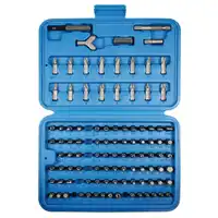 Assortimento Bits, 1/4", 100 pezzi