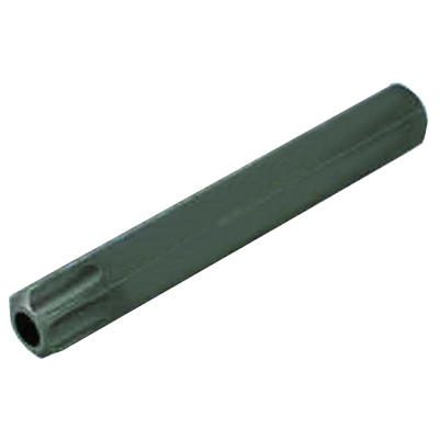 Embout de vissage, 10 mm, T55 avec trou, long_0