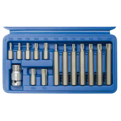 Cacciavite bit, 1/2", T-Profilo, 15 pezzi_0