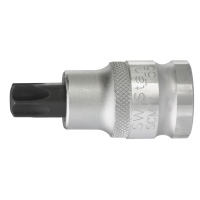 Cacciavite bit, 1/2", T55 x 53 mm