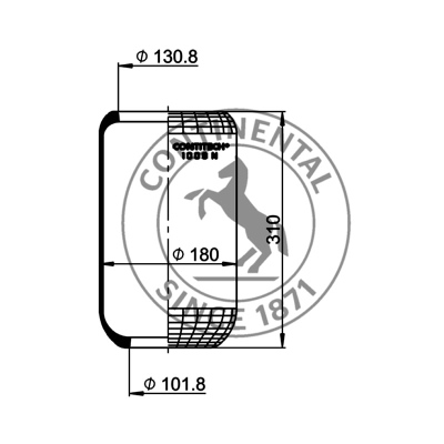 Rollbalg ohne Metall, CONTI_1