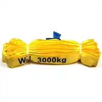 Cinghia di rotonda per solevare 3000kg, 3m