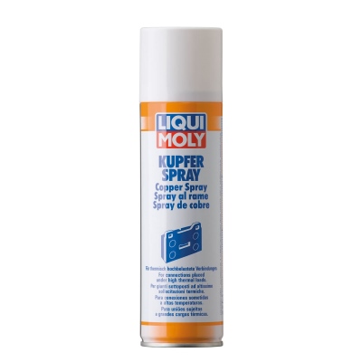 Spray rame 250ml LIQUI MOLY_0