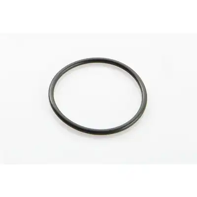 O-Ring zu 1.25010_0