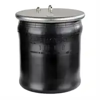 Soufflet à air avec piston en plastique, Phoenix