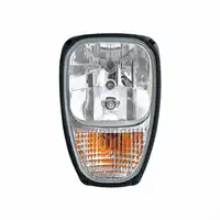 GlühlampeHauptscheinwerfer Combi 220 12V