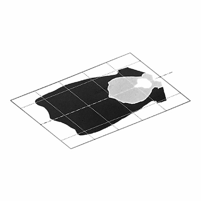 Projecteur de travail Modul 6213 12/24V_1