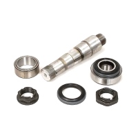 Kit riparazione perno fuso