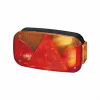 Luce posteriore 12V