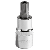 ½" Loch-RIBE-Bit-Stecknuss M5 KRAFTWERK
