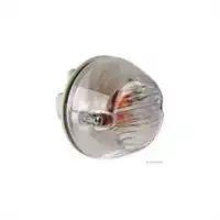 Lampeggiatore per M A N  TGA, chiaro