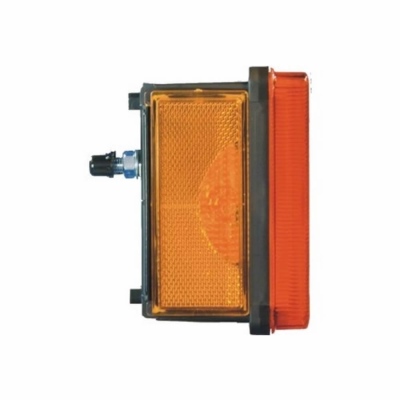 Fanale posteriore, DAF, sinistra _2