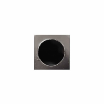 Fanale post  Scania , sinistra, con Luce Targa_4