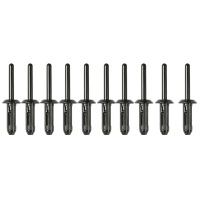 Kunststoff-Nieten 5 x 17,2 mm, 10 Stück