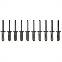 Rivets plastiques