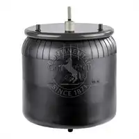 Soufflet à air complet avec piston, CONTI