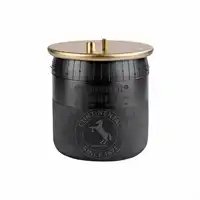 Soufflet à air complet avec piston, CONTI