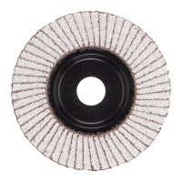 Fächerschleifscheibe 125 mm