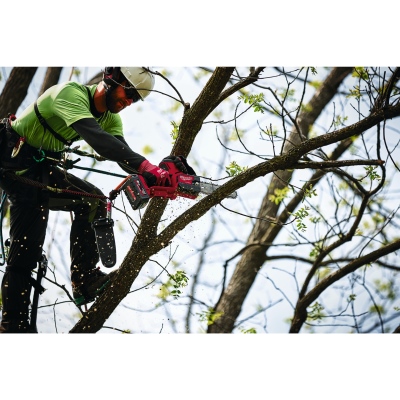 Sega da potatura, Milwaukee_3