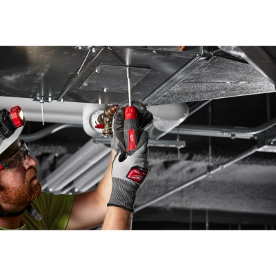 Giravite, Milwaukee_2