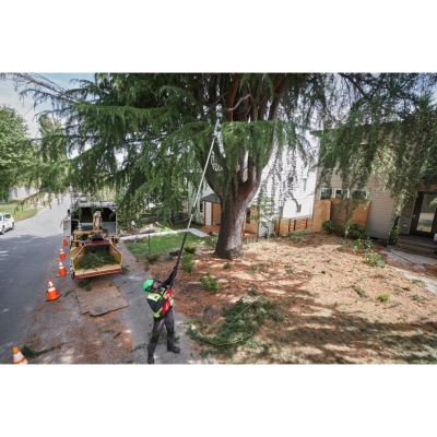 Sega telescopica per rami_3