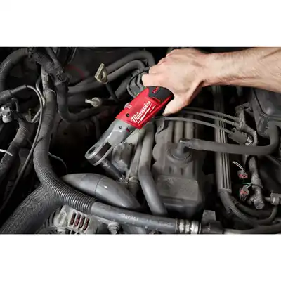 Cricchetto, Milwaukee_1