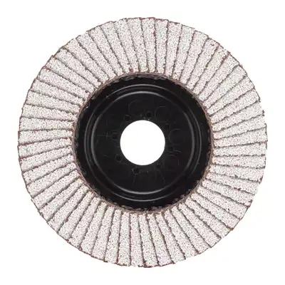 Fächerschleifscheibe 125 mm_0