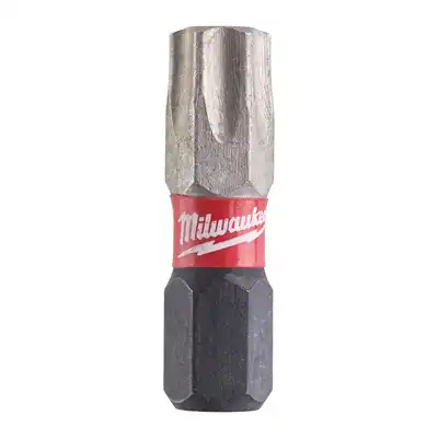 Embout de vissage TX40 x 25mm - 2 pcs., Milwaukee_0