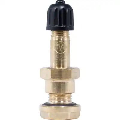 Valve tubeless en laiton L41mm Ø9.85mm_0