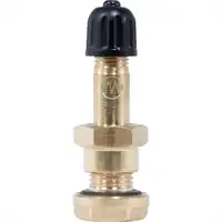 Valve tubeless en laiton L41mm Ø9.85mm
