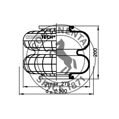 Zweifaltenbalg ohne Metall, CONTI_1