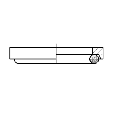 Anello di pressione con O-Ring M10X1,0 Raufoss_2