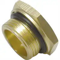 Vite di chiusure M22X1,5 Raufoss