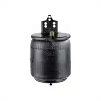 Soufflet à air complet avec piston, CONTI