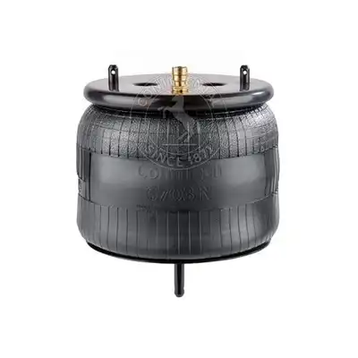Soufflet à air complet avec piston, CONTI_0
