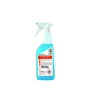 Scheibenenteiser-Spray 500ml