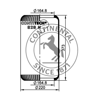 Rollbalg ohne Metall, CONTI_1