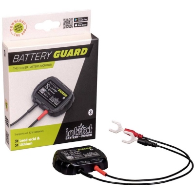 Monitoraggio batteria 12 V con Bluetooth_1