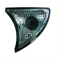 Front Blinker mit Glühlampen 12/24V Links IVECO