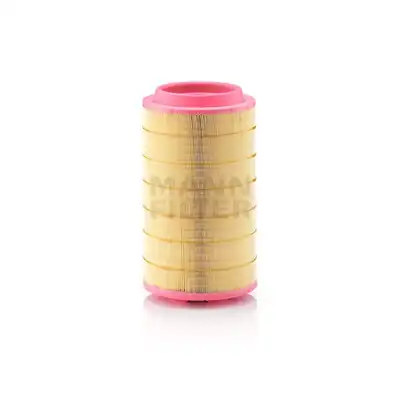 Filtro d'aria MANN-FILTER_1