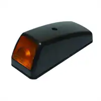 Seiten Blinker Glühlampen 12/24V li./re. Renault