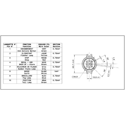 Fanale posteriore Destro, connettore post IVECO_3