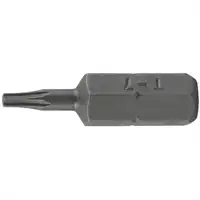 T-Profil Bit, gebohrt, T8